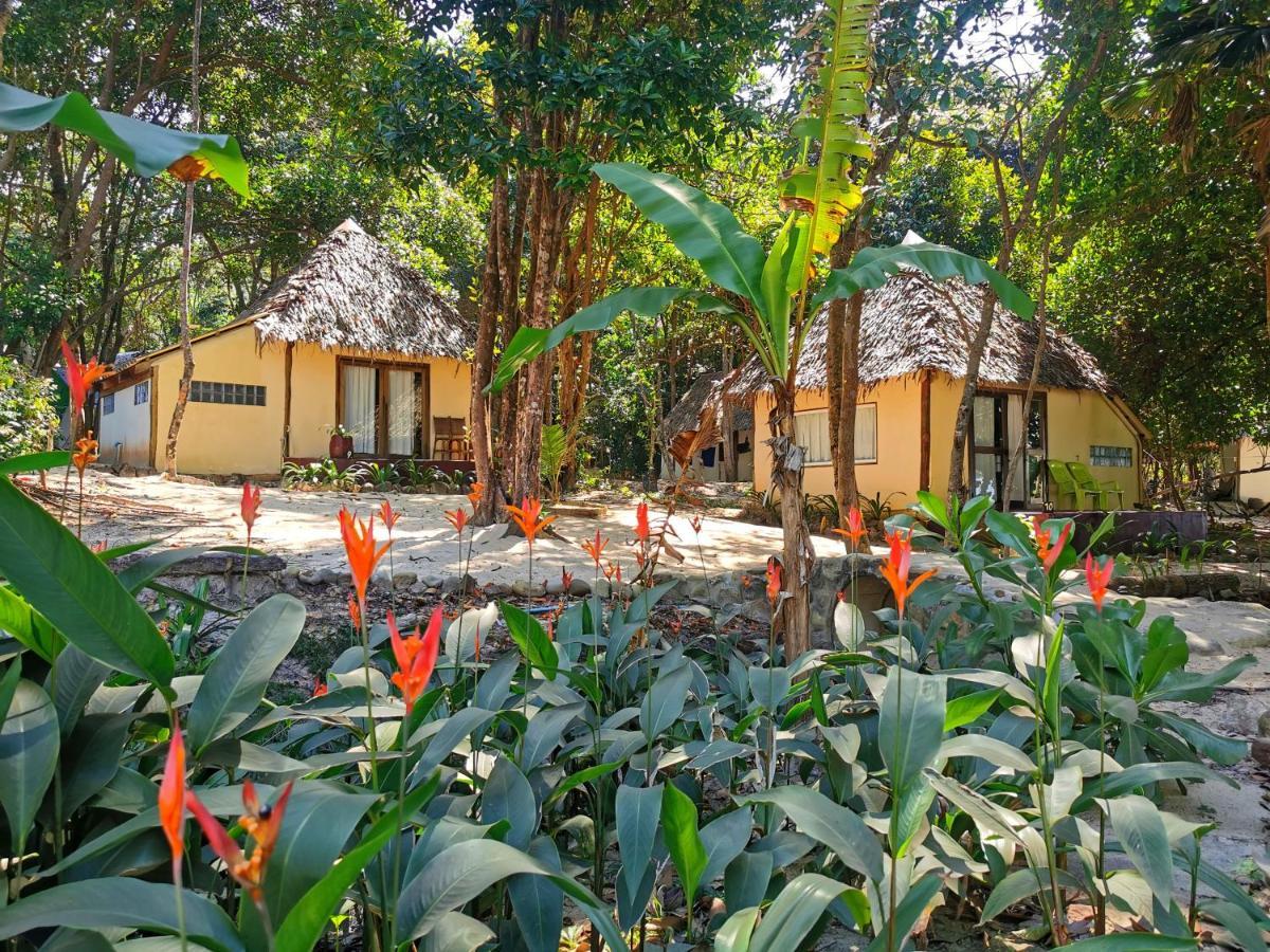 Villa Sleeping Trees à Koh Rong Sanloem Extérieur photo